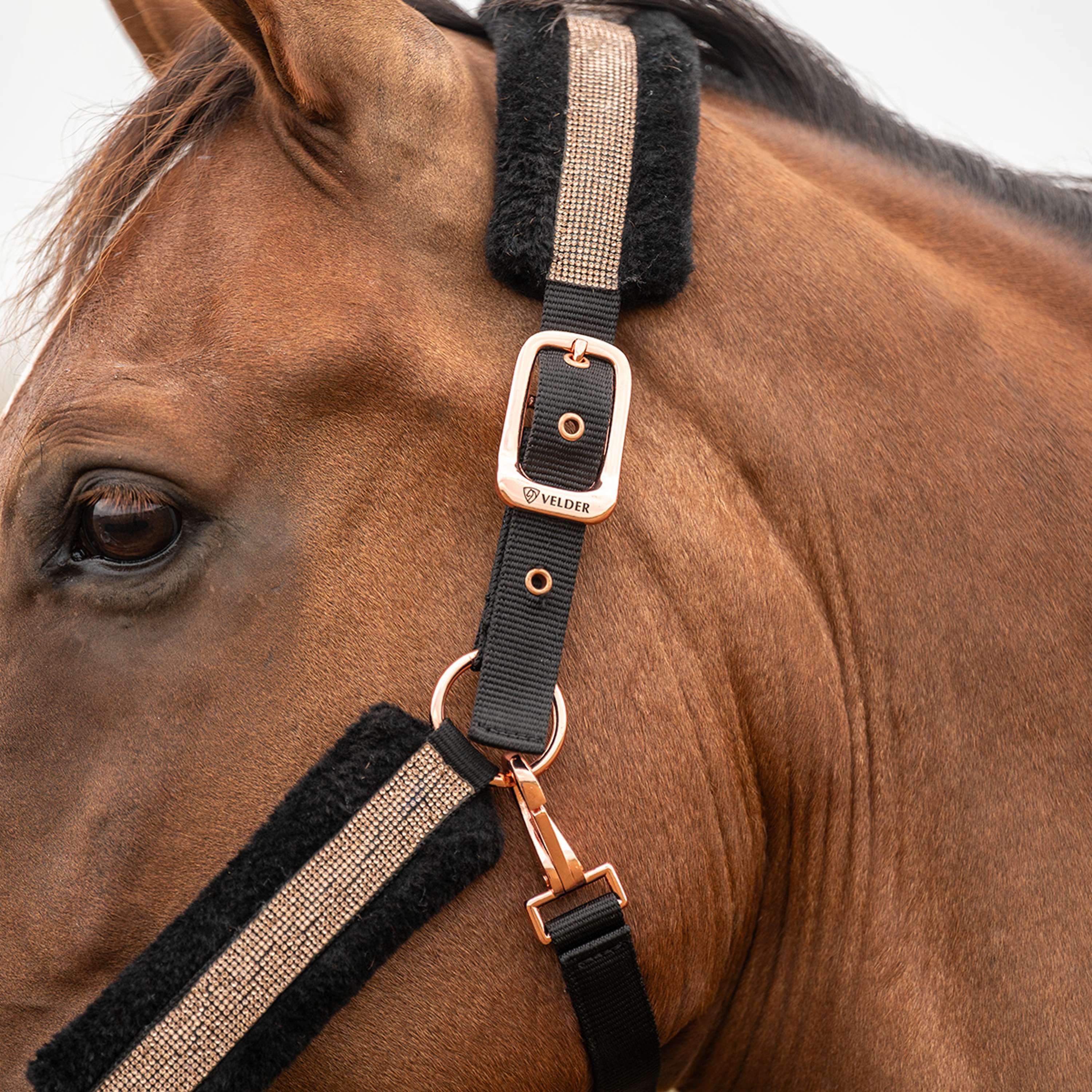 Velder Horsewear Essentials Cabezada Soft Sparkle Negro