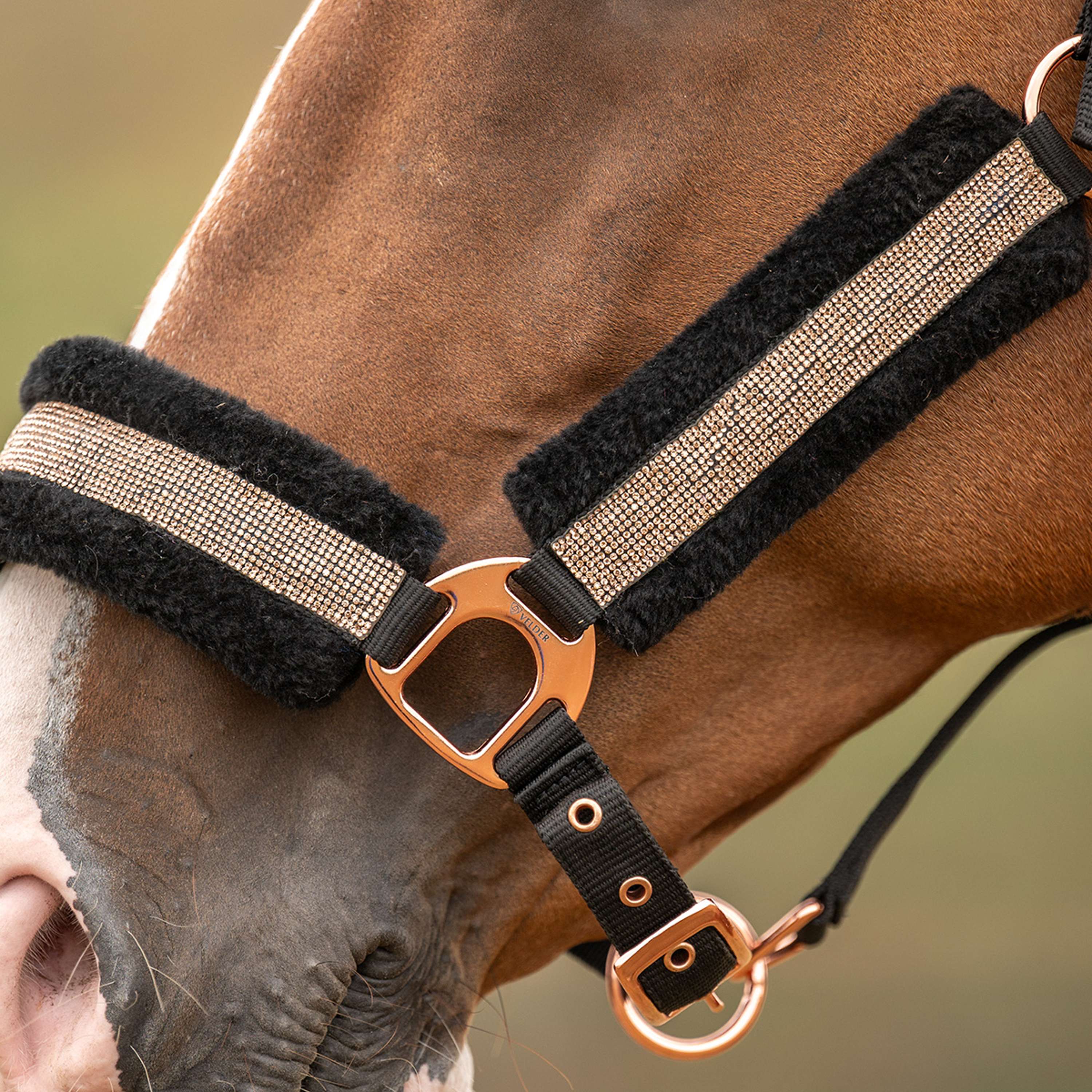 Velder Horsewear Essentials Cabezada Soft Sparkle Negro