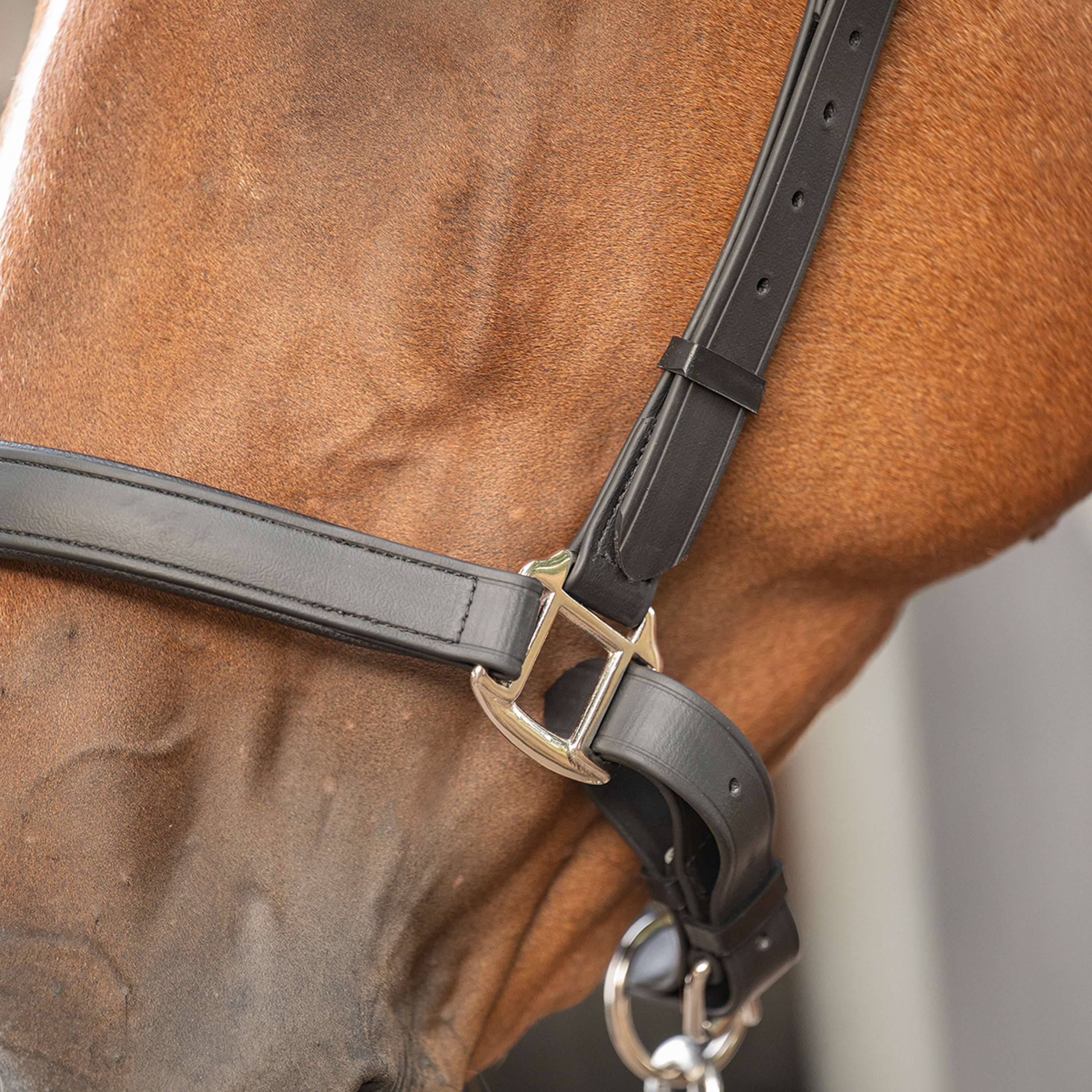 Velder Horsewear Premium Cabezada WashPro Negro