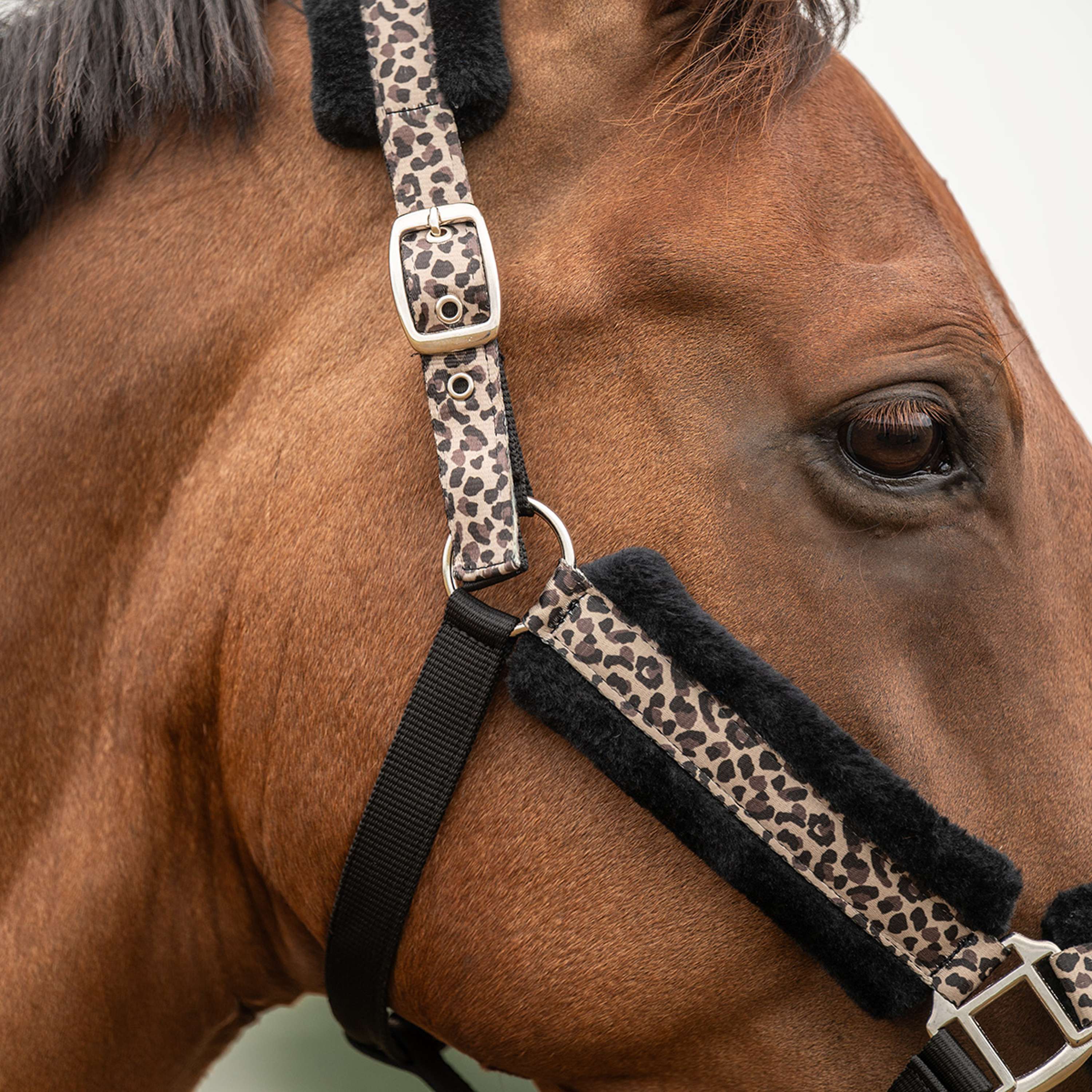 Velder Horsewear Essentials Cabezada Savanna Soft Earth Leopard