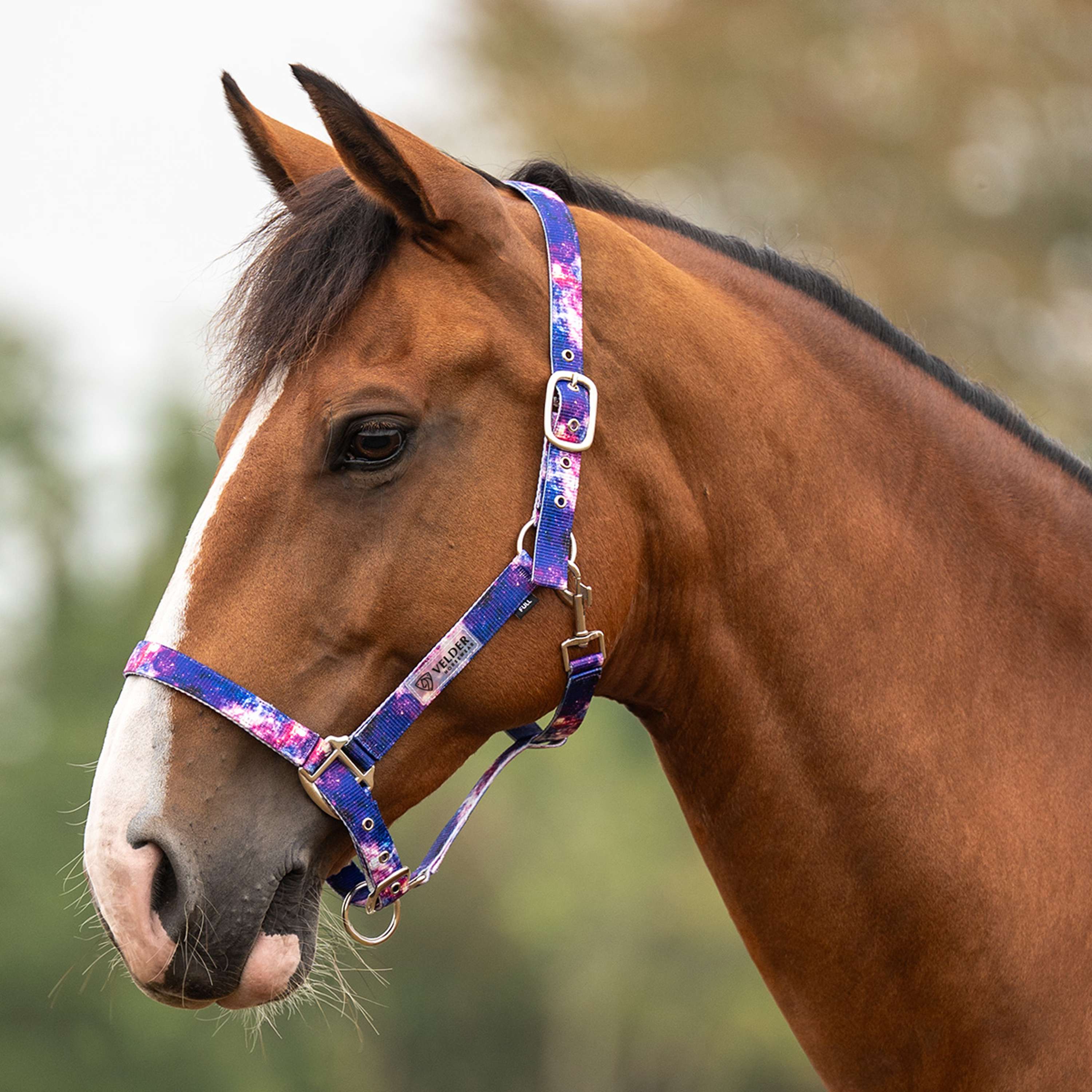 Velder Horsewear Essentials Cabestro Galaxy Azul/Rosa