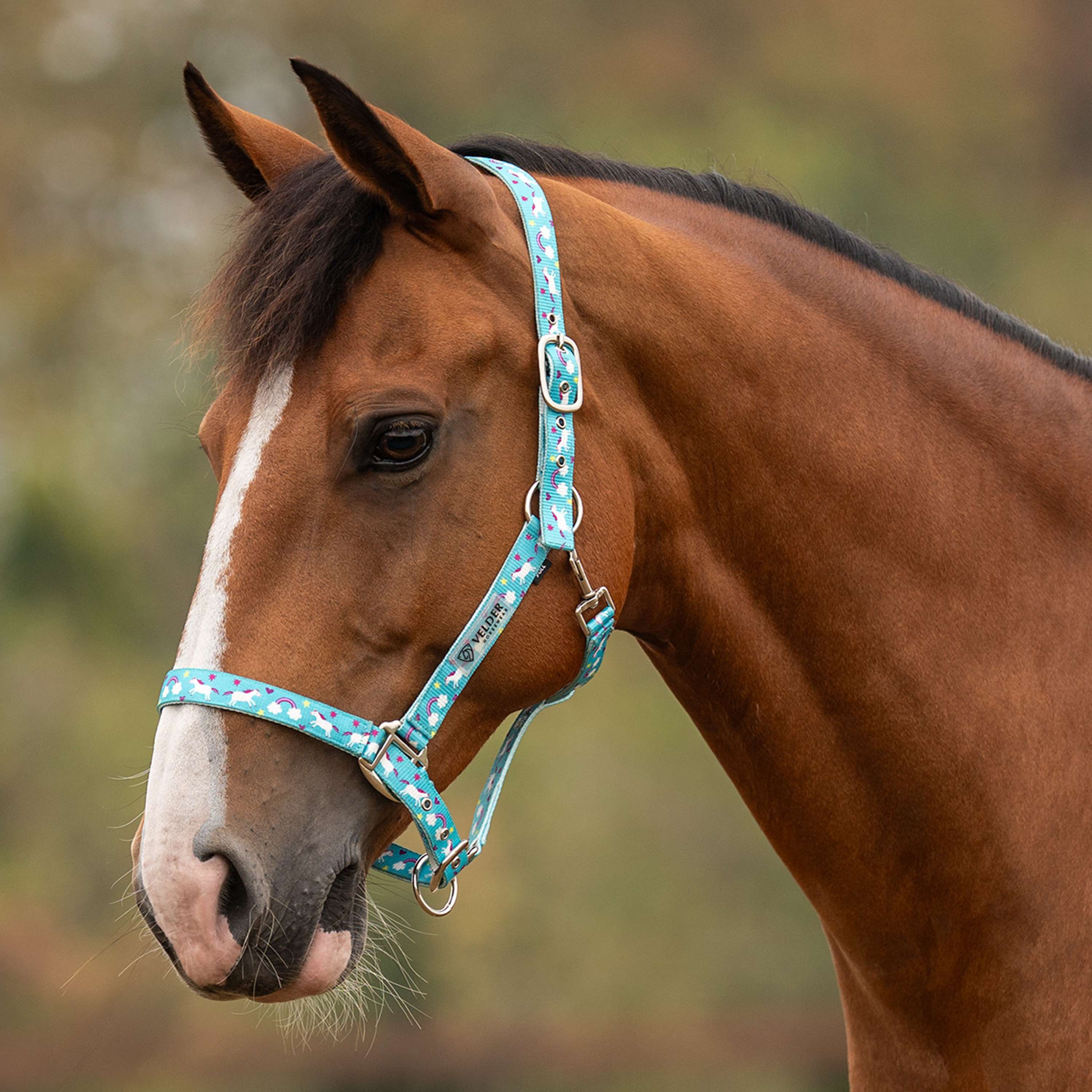 Velder Horsewear Essentials Cabestro Unicorn Azul