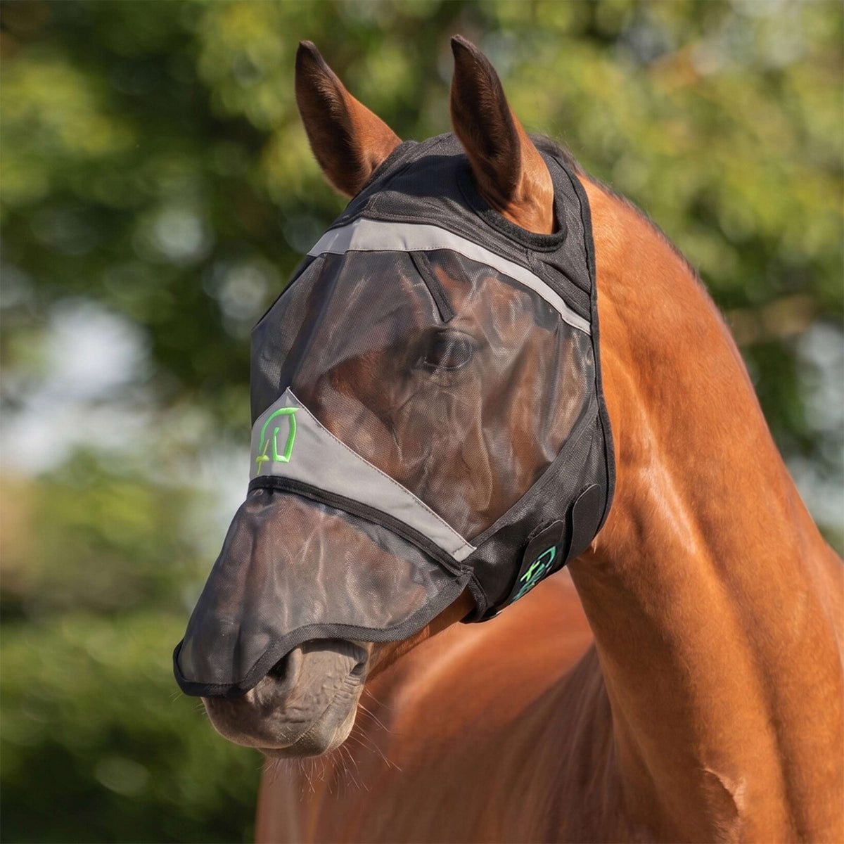 Agradi Horse Máscara para Moscas Fine Mesh con Orificio para la Oreja y Nariz Negro