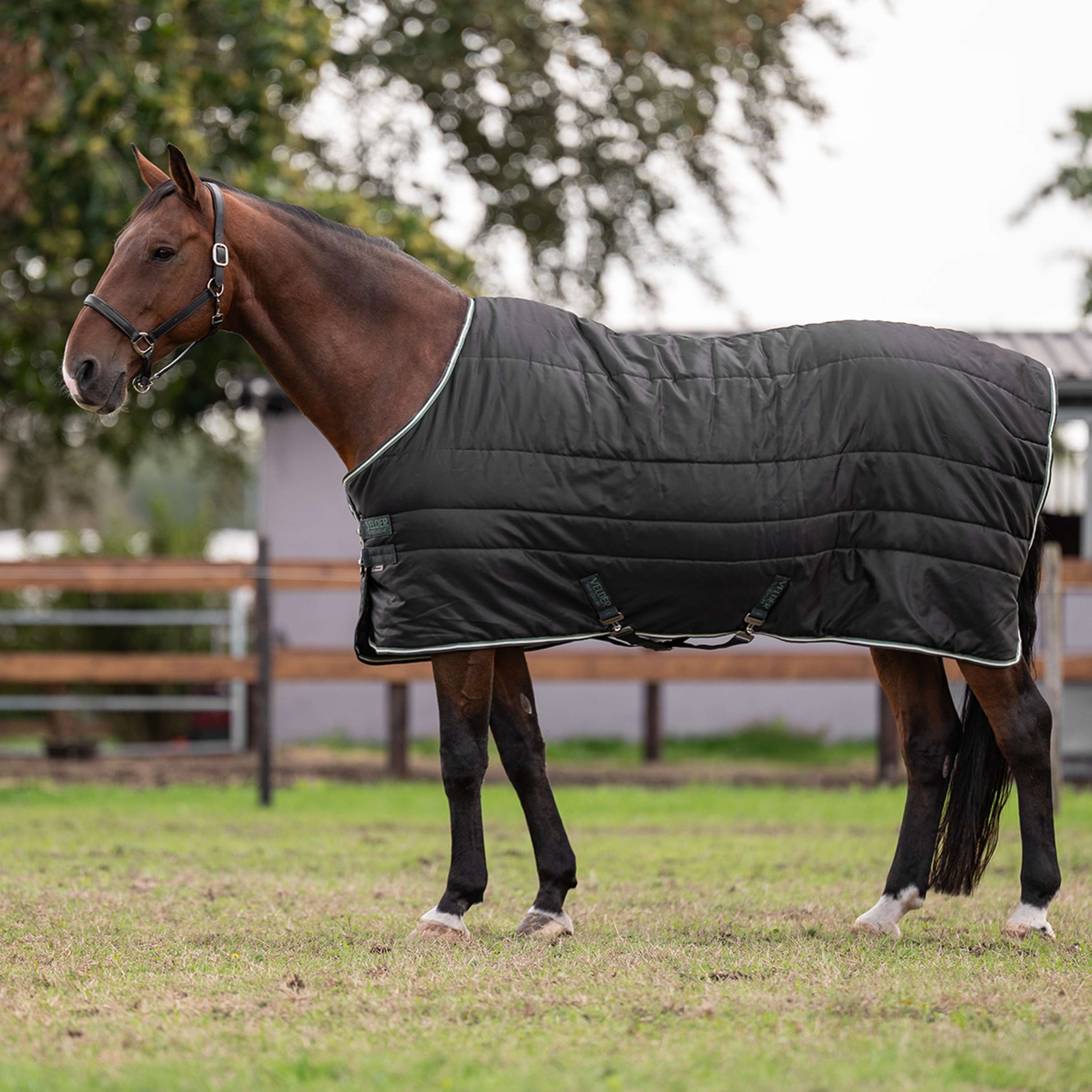 Velder Horsewear Premium Manta de Establo 210D Diamond Ripstop 100g Night Forest