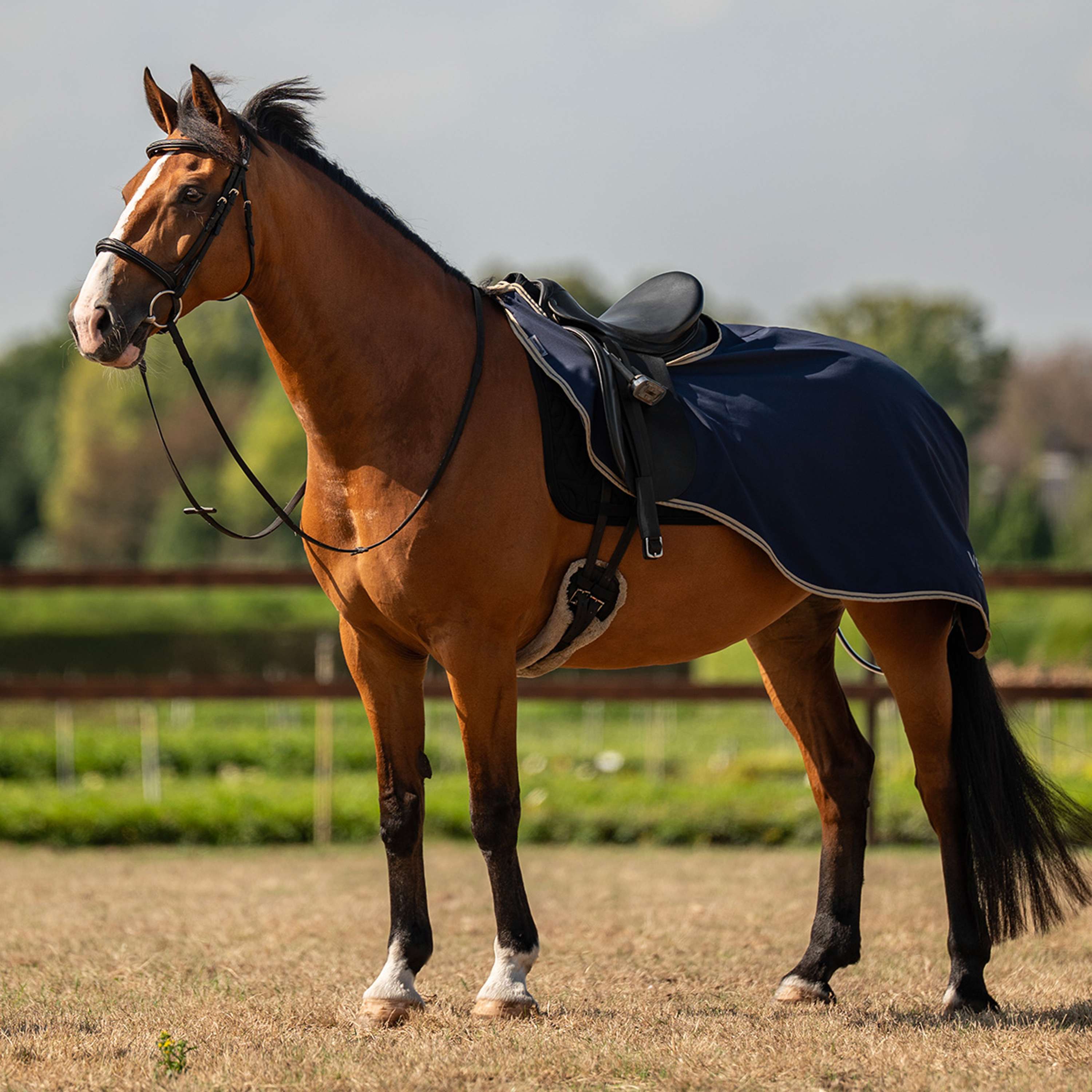 Velder Horsewear Essentials Manta de ejercicio Navy/Dune