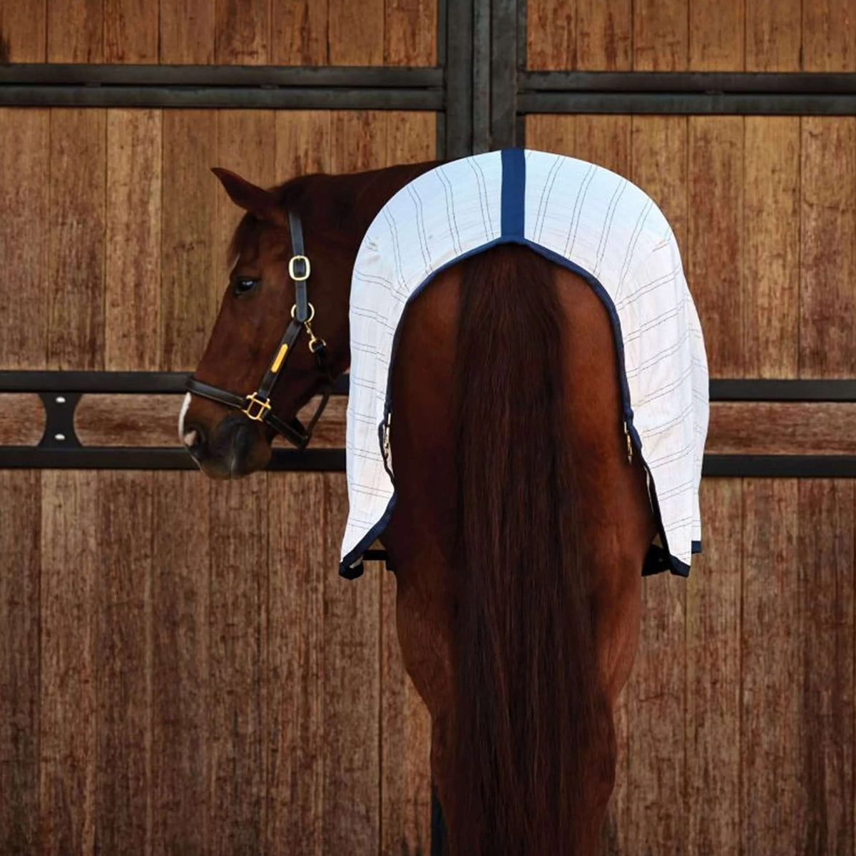 WeatherBeeta ComFiTec Cotton Sheet liner Blanco/Azul Marino