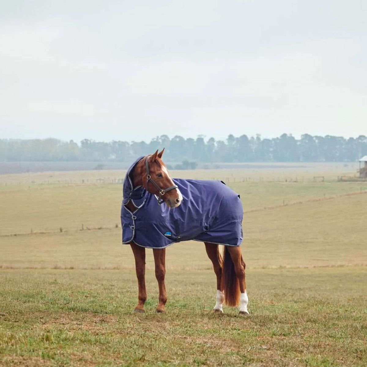 WeatherBeeta ComFiTec Tyro Turnout Combo Neck 50g Marino/Carbon