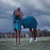 WeatherBeeta ComFiTec Plus Dynamic Turnout Detach-A-Neck 220g Forest Green/Navy