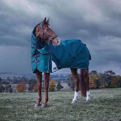 WeatherBeeta ComFiTec Plus Dynamic Turnout Detach-A-Neck 220g Forest Green/Navy