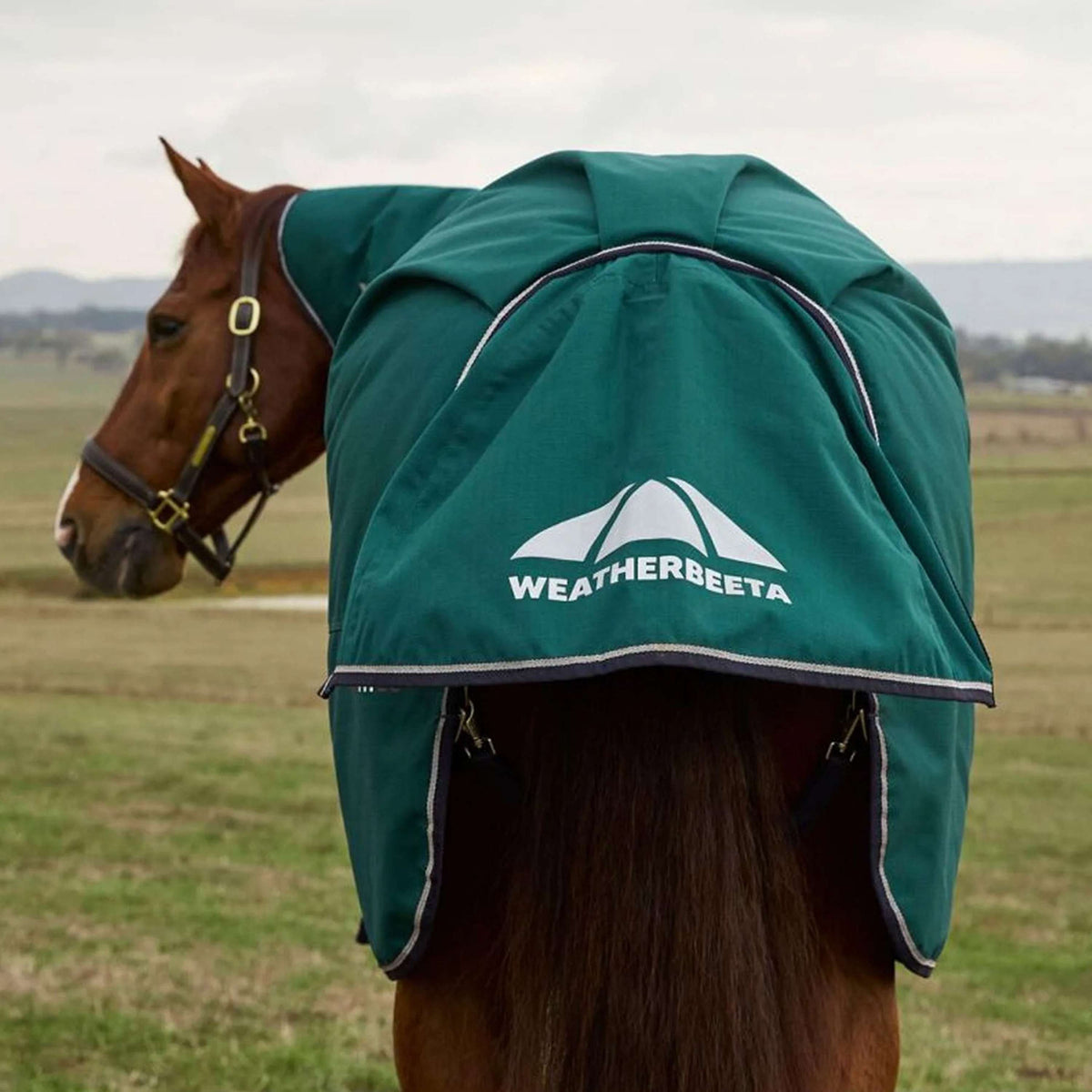 WeatherBeeta ComFiTec Plus Dynamic Turnout Detach-A-Neck 0g Forest Green/Navy