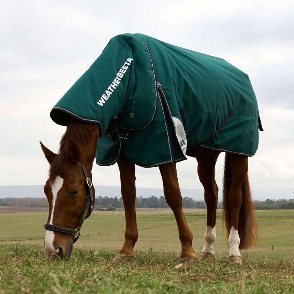 WeatherBeeta ComFiTec Plus Dynamic Turnout Detach-A-Neck 0g Forest Green/Navy