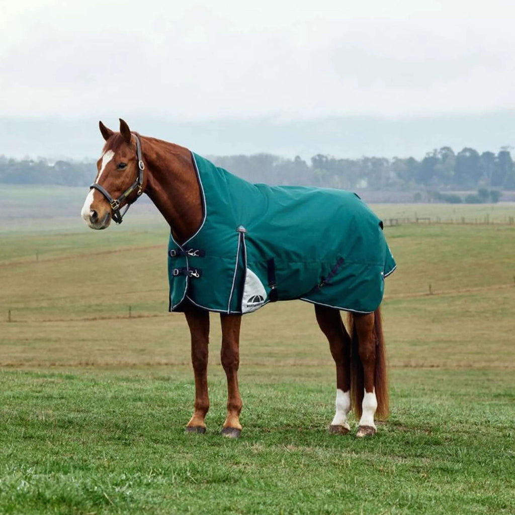 WeatherBeeta ComFiTec Plus Dynamic Turnout High Neck 100g Forest Green/Navy