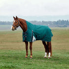 WeatherBeeta ComFiTec Plus Dynamic Turnout High Neck 100g Forest Green/Navy