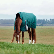 WeatherBeeta ComFiTec Plus Dynamic Turnout High Neck 220g Forest Green/Navy