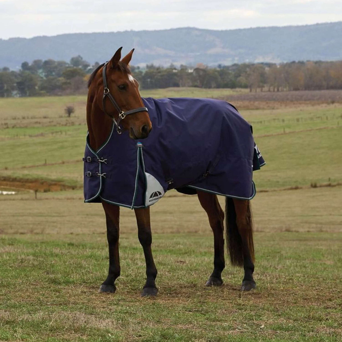 WeatherBeeta ComFiTec Plus Dynamic Turnout High Neck 220g Navy/Forest Green