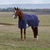 WeatherBeeta ComFiTec Plus Dynamic Turnout 100g Navy/Forest Green