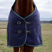 WeatherBeeta ComFiTec Plus Dynamic Turnout 100g Navy/Forest Green