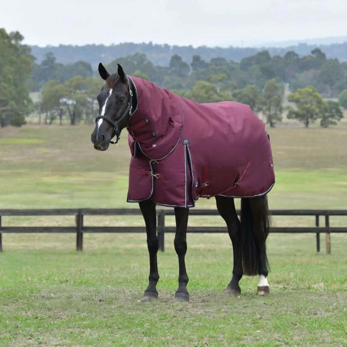 WeatherBeeta ComFiTec Essential Turnout Detach-A-Neck 50g Burdeos/Azul Marino