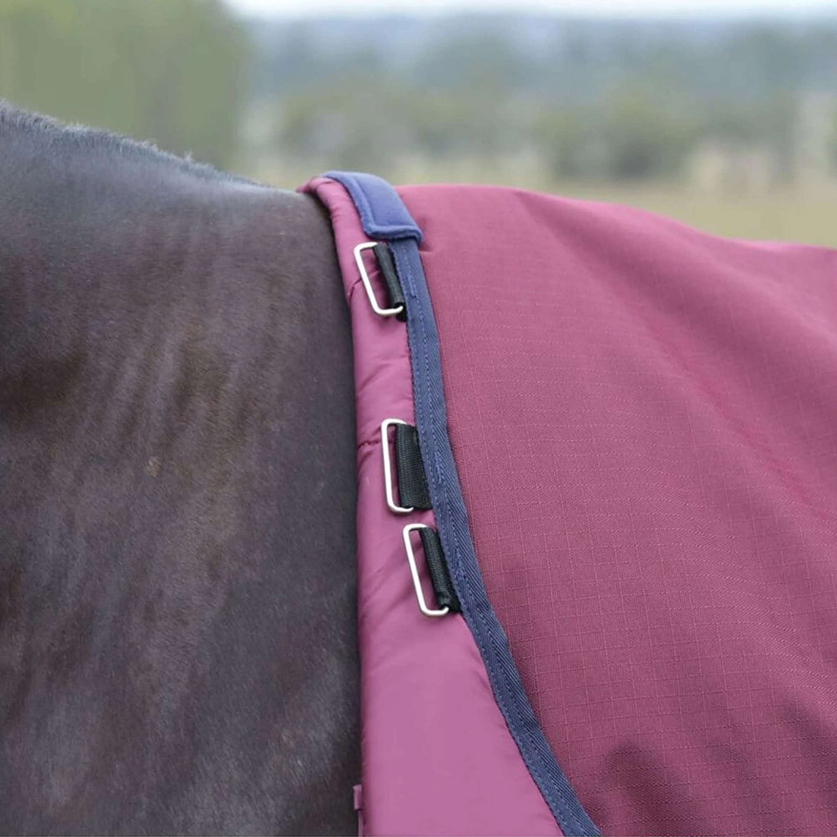 WeatherBeeta ComFiTec Essential Turnout Detach-A-Neck 50g Burdeos/Azul Marino