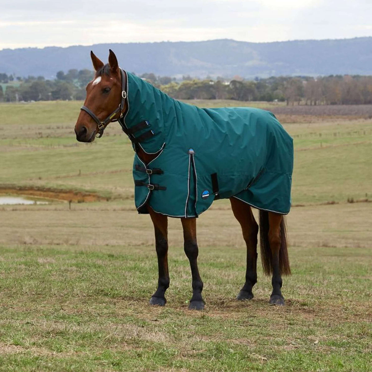 WeatherBeeta ComFiTec Classic Turnout Combo 50g Forest Green/Black