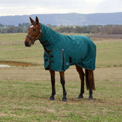 WeatherBeeta ComFiTec Classic Turnout Combo 50g Forest Green/Black