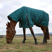 WeatherBeeta ComFiTec Classic Turnout Combo 50g Forest Green/Black