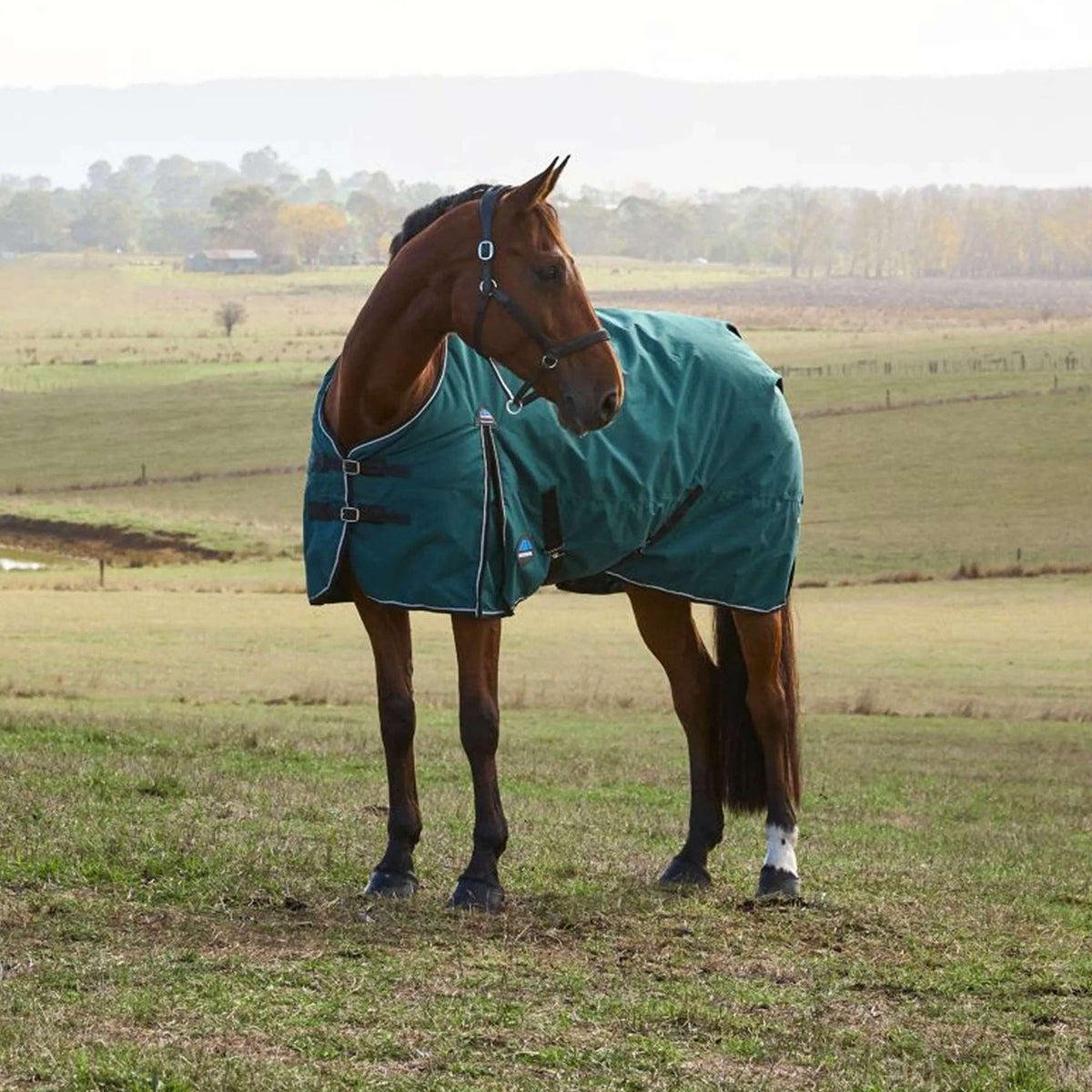 WeatherBeeta ComFiTec Classic Turnout 220g Forest Green/Black