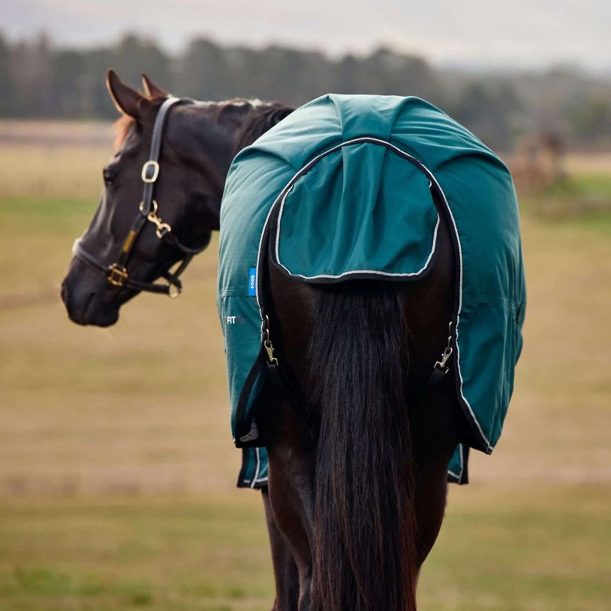 WeatherBeeta ComFiTec Classic Turnout 50g Forest Green/Black