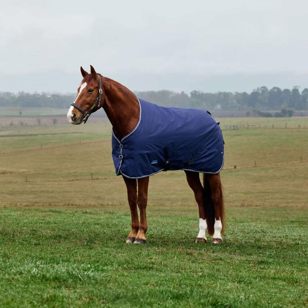 WeatherBeeta ComFiTec Tyro Turnout Standard Neck 220g Marino/Carbon