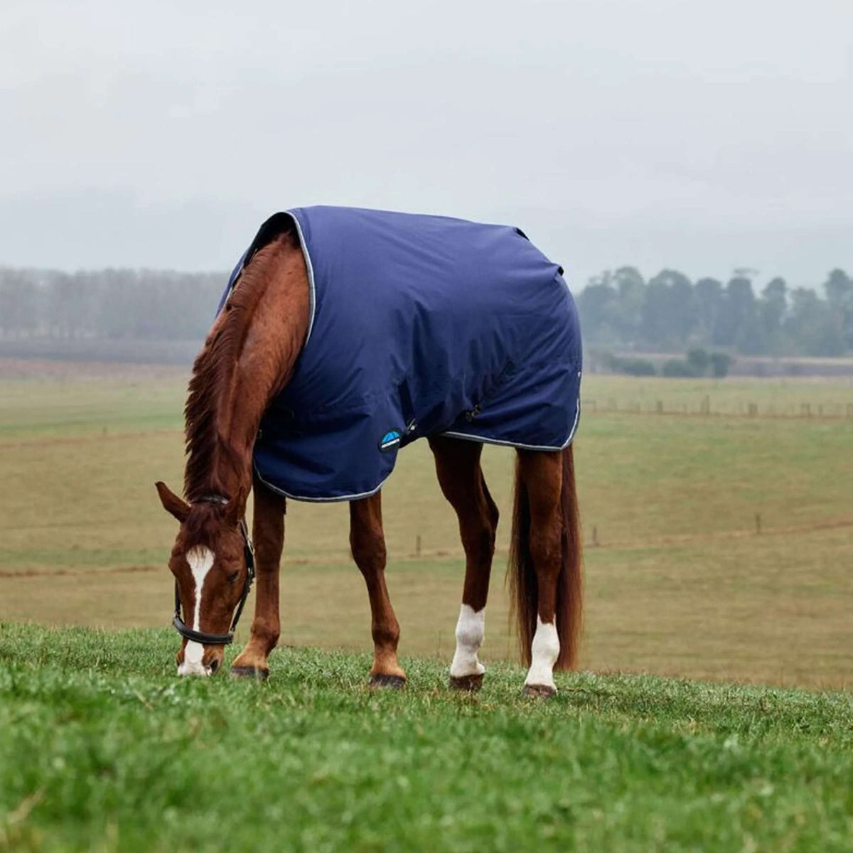 WeatherBeeta ComFiTec Tyro Turnout Standard Neck 220g Marino/Carbon