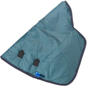 WeatherBeeta Cubrecuellos ComFiTec Plus Dynamic Turnout 0g Forest Green/Navy