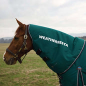 WeatherBeeta Cubrecuellos ComFiTec Plus Dynamic Turnout 0g Forest Green/Navy