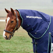 WeatherBeeta Cubrecuellos ComFiTec Plus Dynamic Turnout 0g Navy/Forest Green
