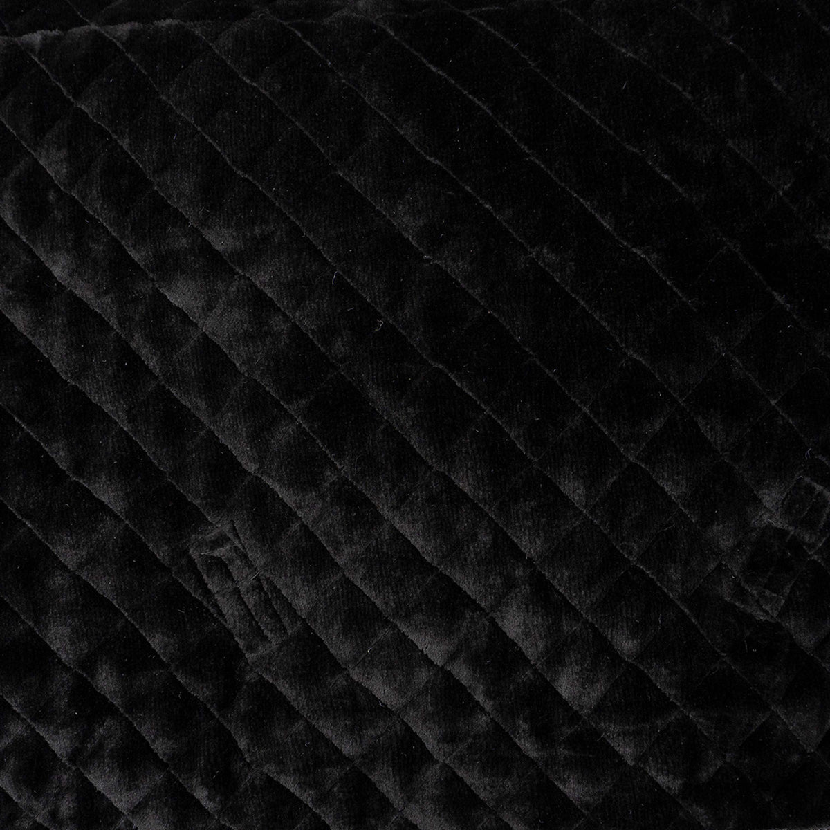 ANKY Manta de exhibición Victory ATB24006 Negro