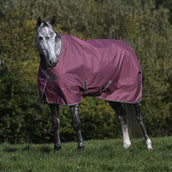 Bucas Freedom Turnout 300g Frambuesa