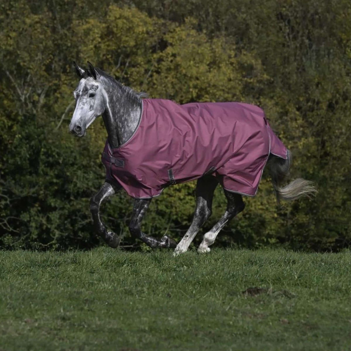 Bucas Freedom Turnout 300g Frambuesa