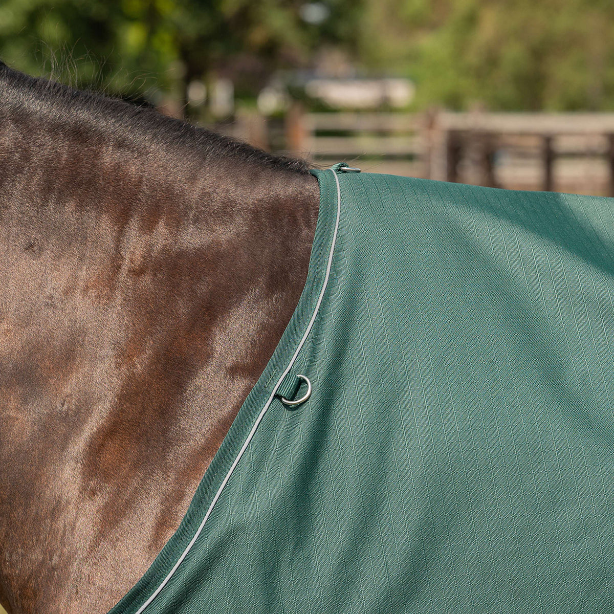 Agradi Horse Alfombra de Exterior 1200D 0gr Banda Reflectante Verde