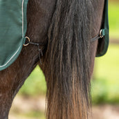 Agradi Horse Manta de ejercicio 1200D Banda Reflectante Verde