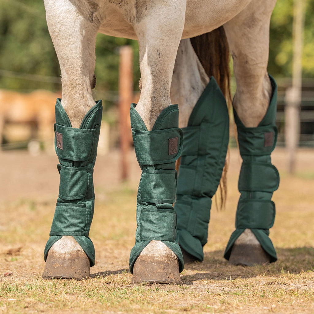 Agradi Horse Protectores de transporte 1200D Verde