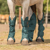 Agradi Horse Protectores de transporte 1200D Verde