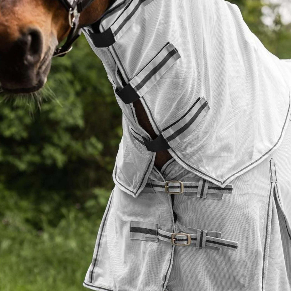 Waldhausen Manta Antimoscas Protect con Cuello Desmontable Plata<>Gris