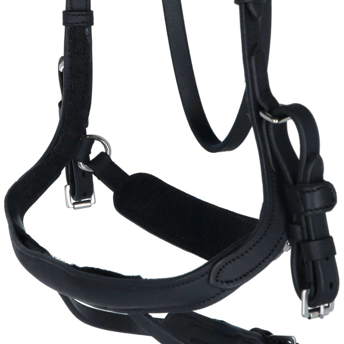 Kavalkade Brida Caliano Via Negro/Plata