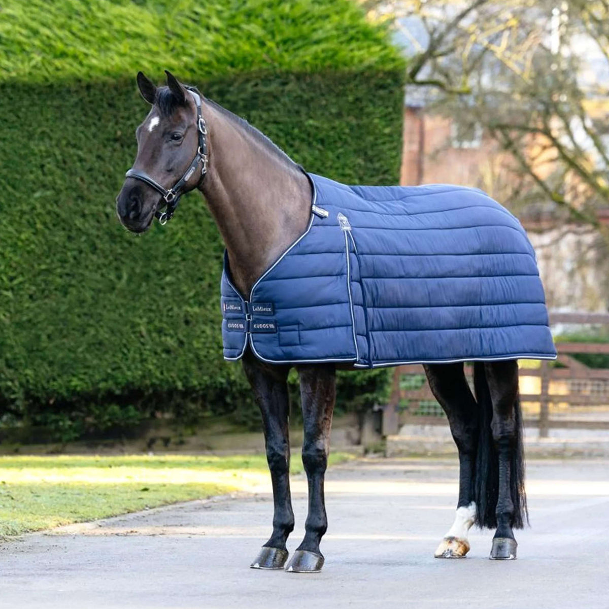 LeMieux Liner Kudos 200g Navy