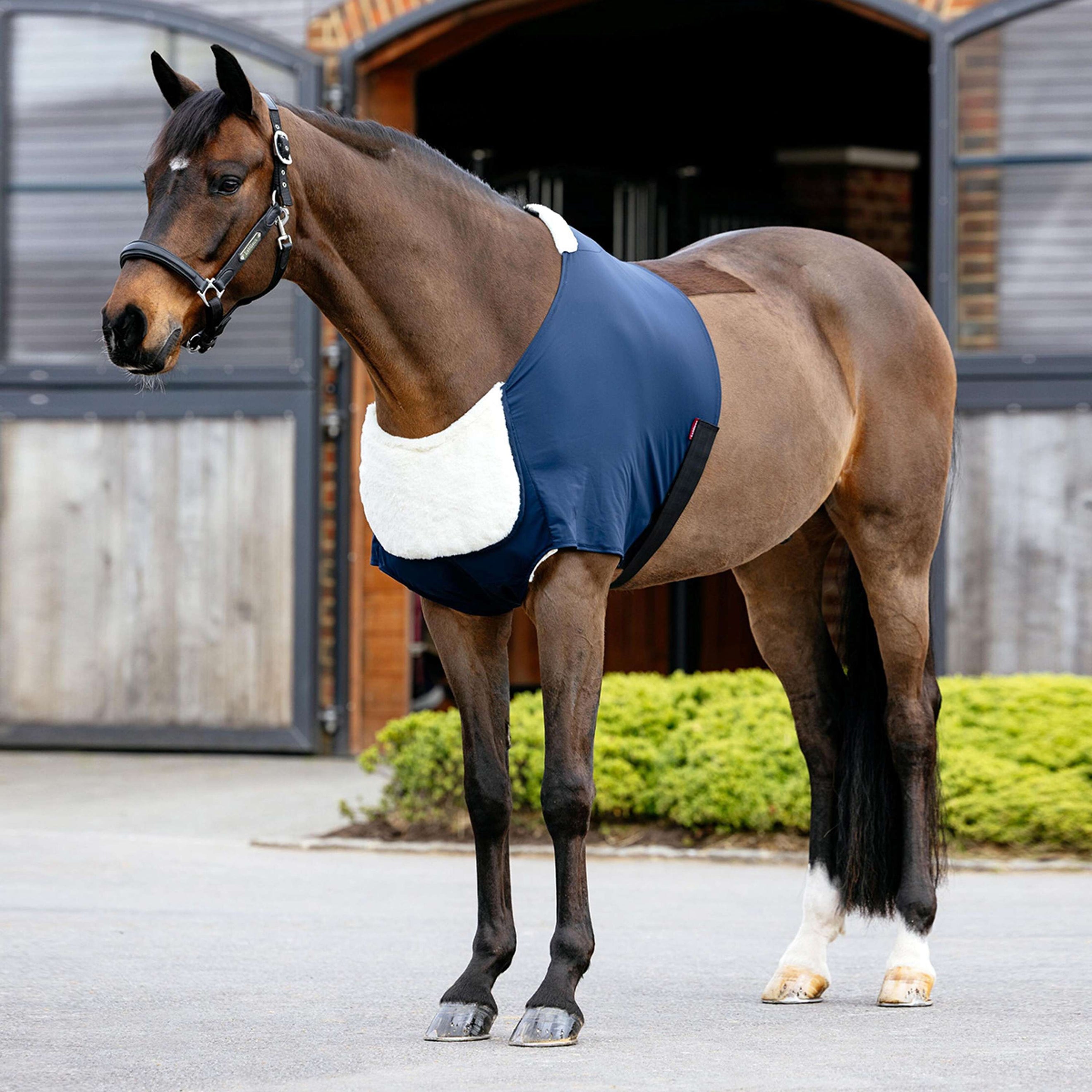 LeMieux Protector de Pecho Soft Anti-Rubbing Navy