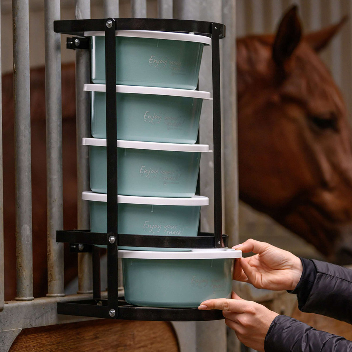 Waldhausen Soporte para Comedero para bandejas de 2 litros Negro