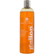 Carr & Day & Martin Shampoo Gallop Chestnut & Palomino