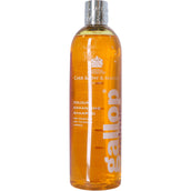 Carr & Day & Martin Shampoo Gallop Colour Castaña