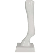 Kerbl Vendaje Adherente Primeros Auxilios 10cm Blanco