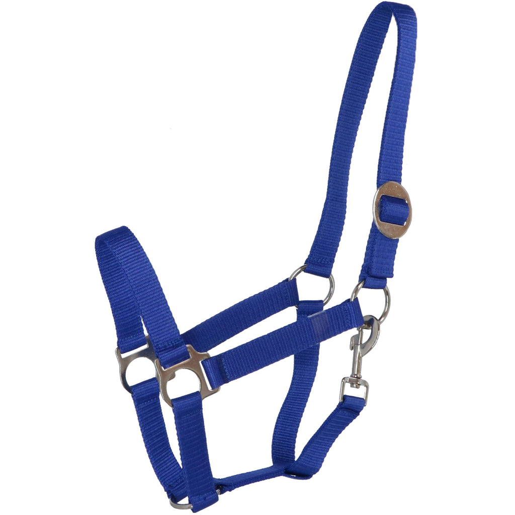 Premiere Cabestro Standaard Poly Azul