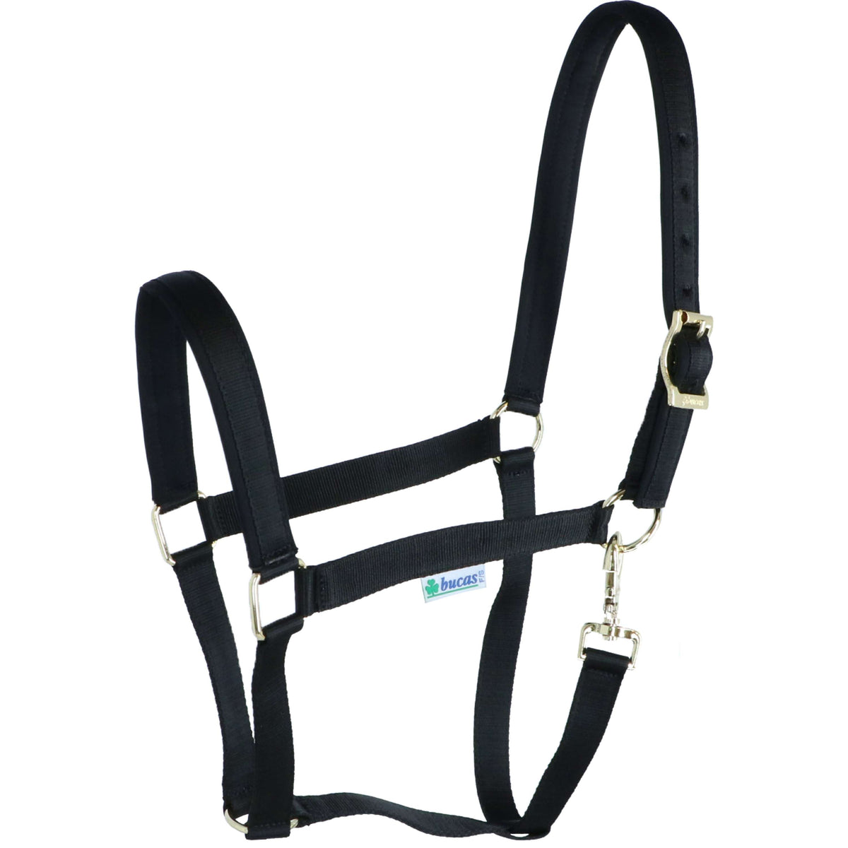 Bucas Cabestro Dublin Foal Negro